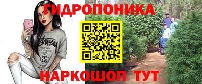 эйфоретик Пушкино
