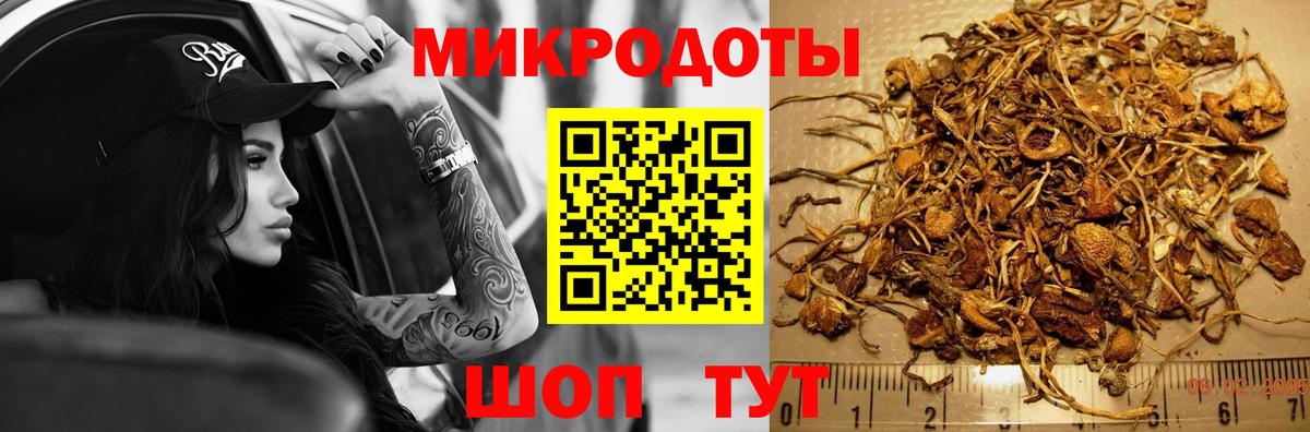 Псилоцибиновые грибы Psilocybine cubensis  Псилоцибиновые грибы Cubensis  Чусовой  Вход с VPN 